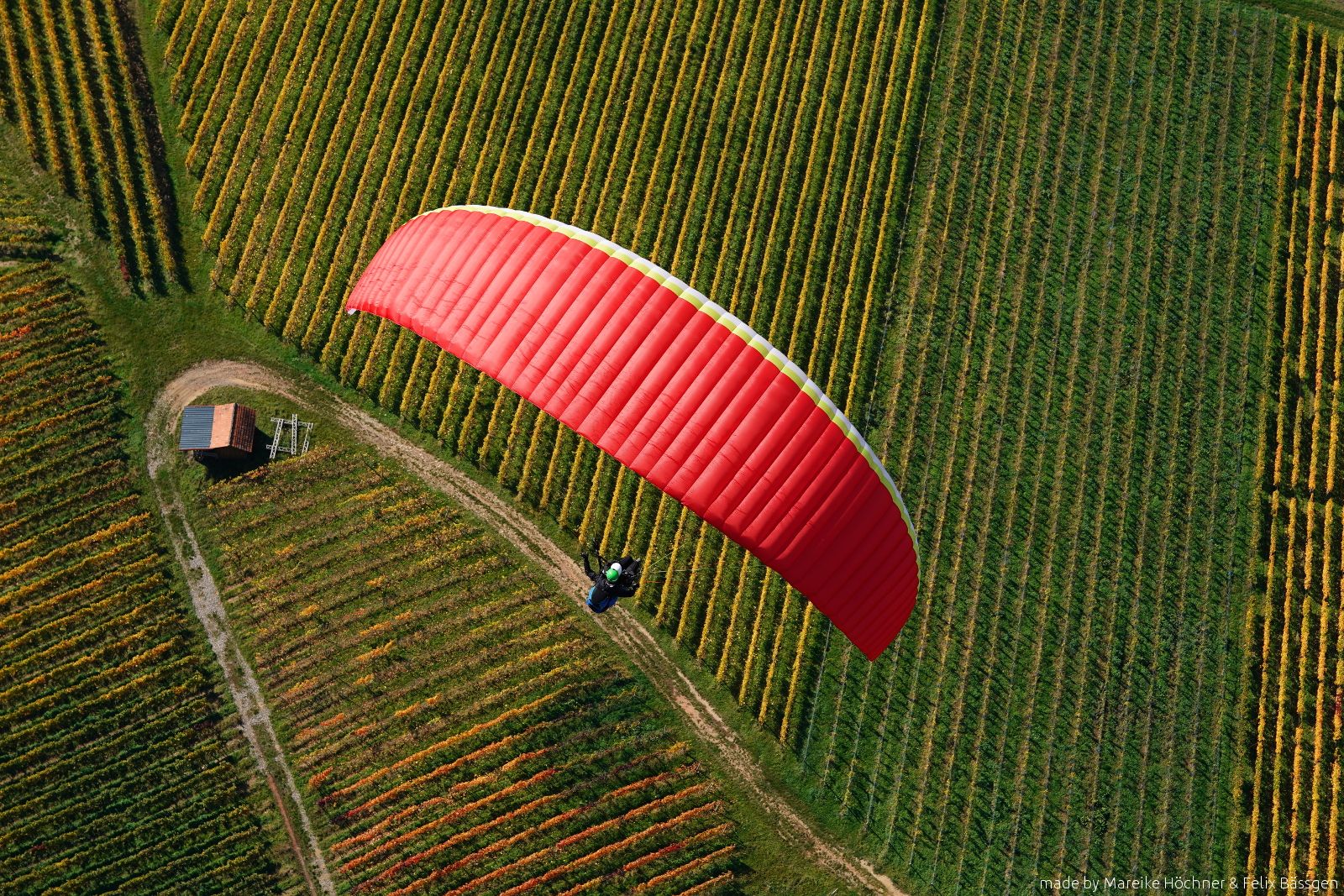 Mein Gleitschirmflug im Schwarzwald